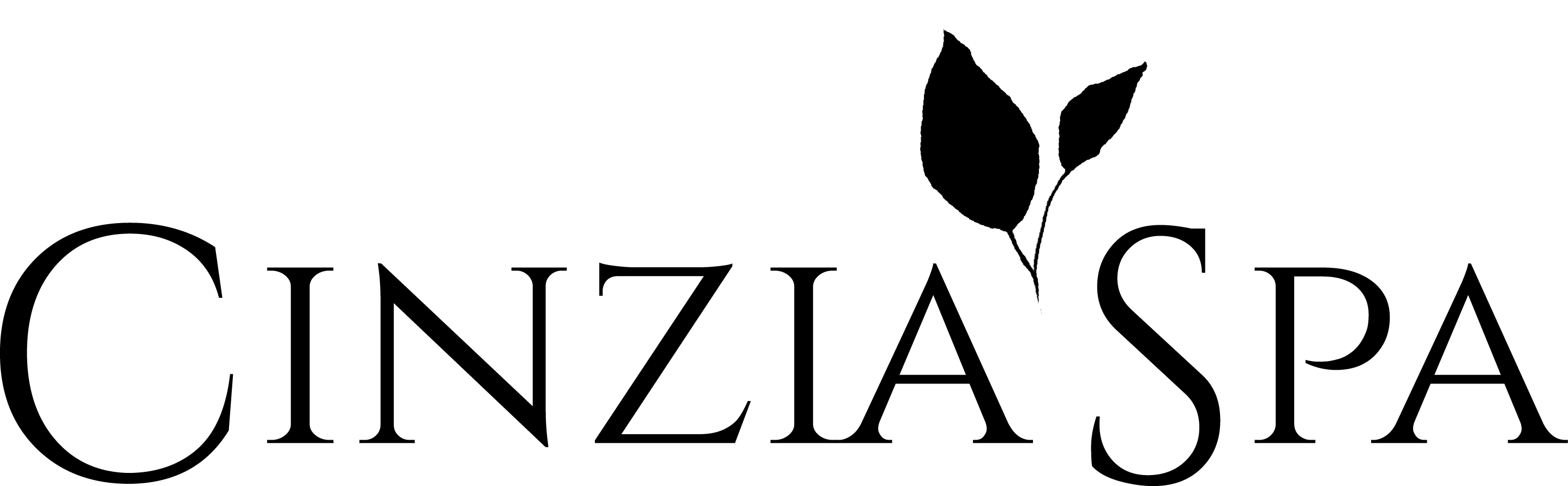 Logo: Ciniza Spa